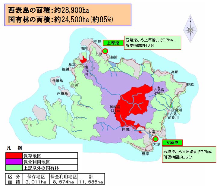 西表島の国有林と森林生態系保護地域
