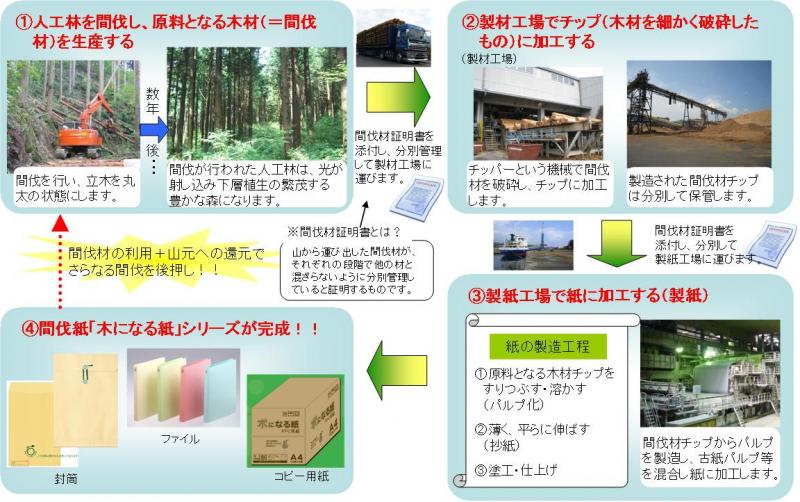 画像：「木になる紙」製造過程
