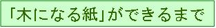木になる紙ができるまで