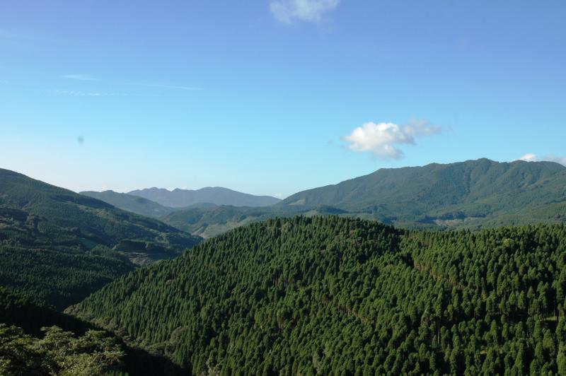 広渡川流域