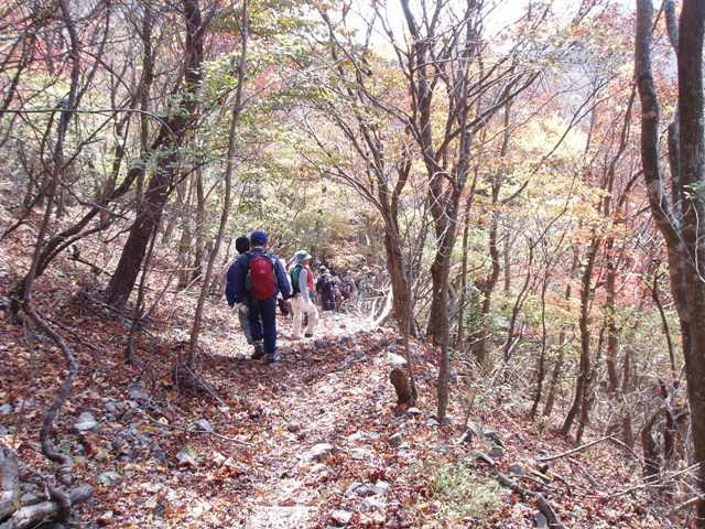 鶴見岳紅葉探勝会