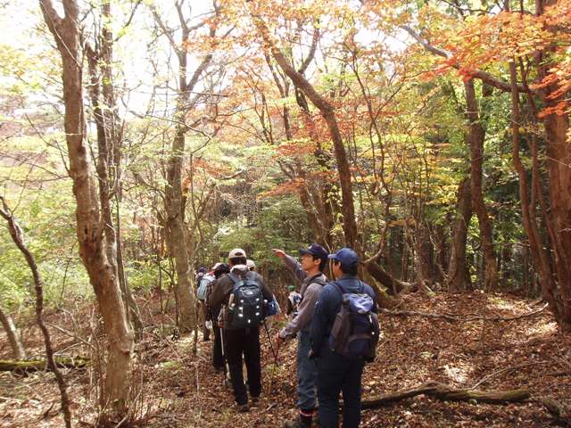 鶴見岳紅葉探勝会