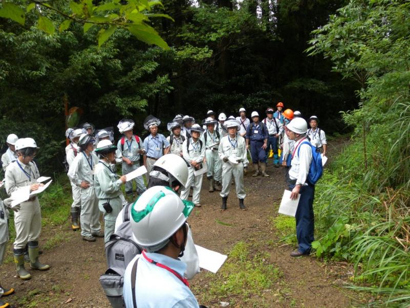 画像：准フォレスター研修　現地での検討