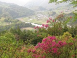 石河内集落