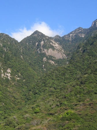 屋久島垂直分布