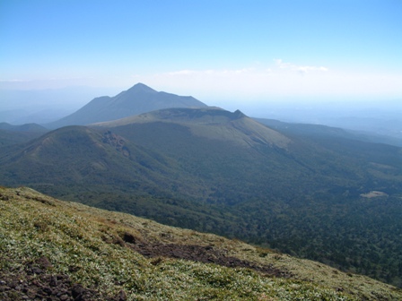 霧島山森林生物遺伝資源保存林