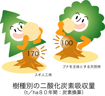 二酸化炭素吸収量