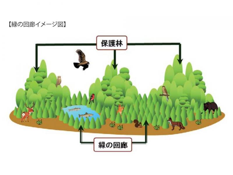 緑の回廊概念図