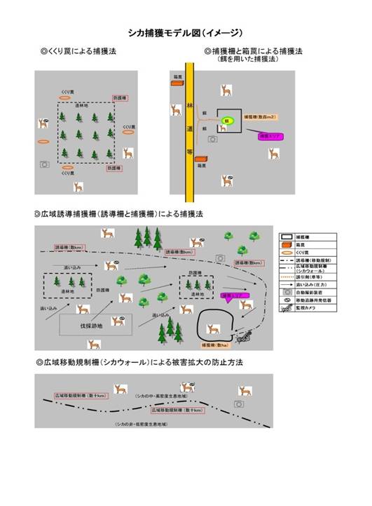 モデル図