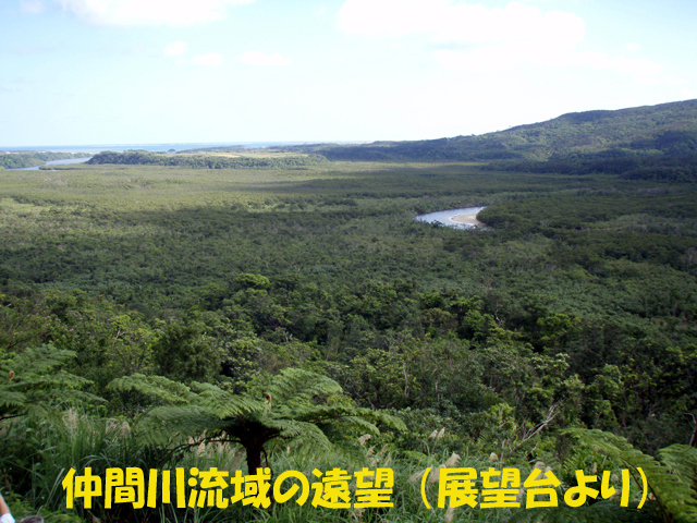 写真:仲間川流域の遠望