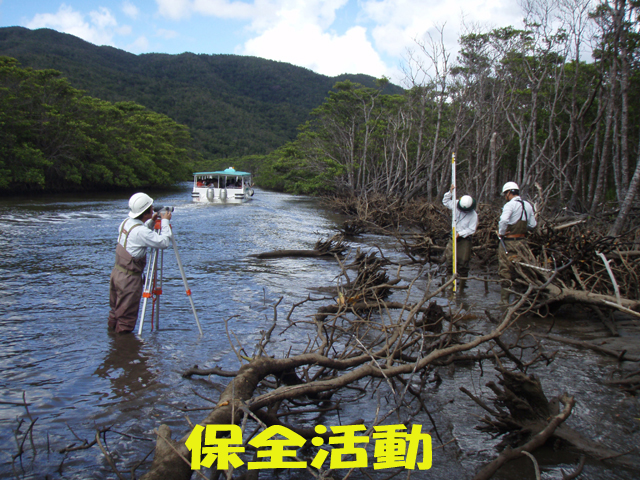 写真：保全活動
