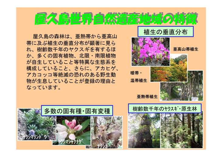 屋久島正解自然遺産地域の特徴
