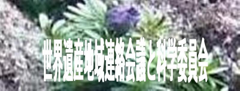 世界遺産地域連絡会議