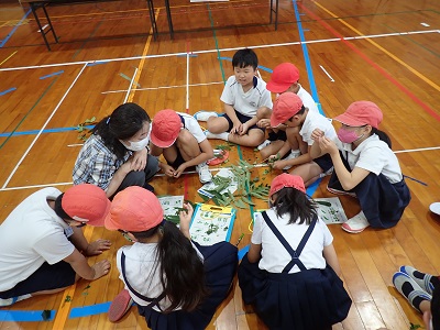 小学校の森林教室