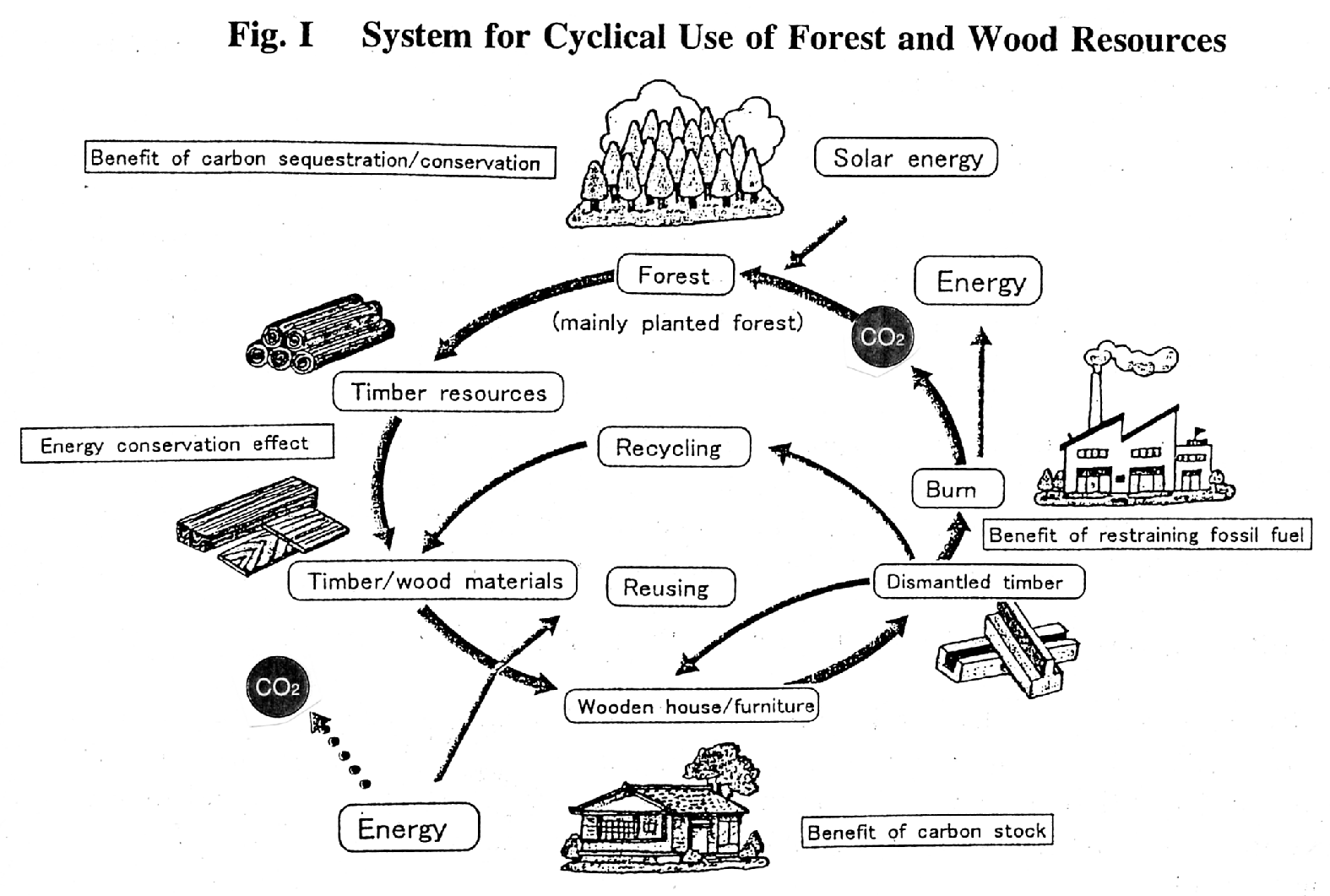 System for Cyclical Use of Forest and Wood Resources