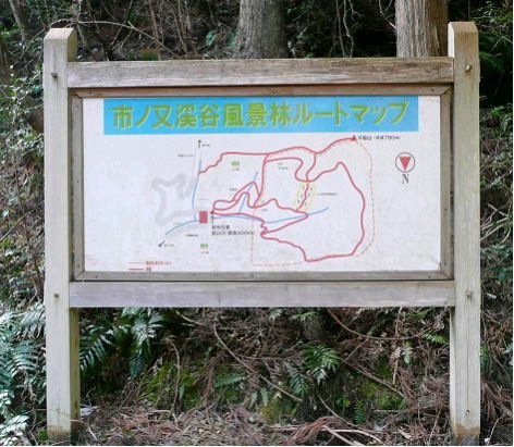 市ノ又渓谷風景林ルートマップ