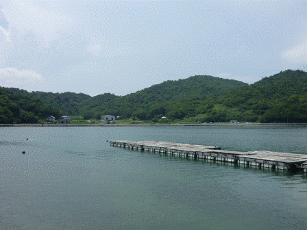 安戸池写真