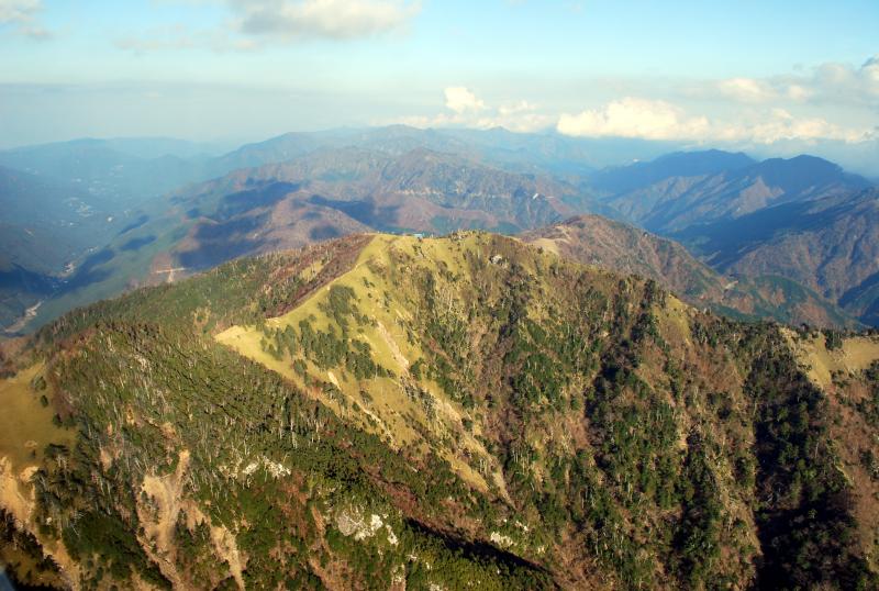 yarido