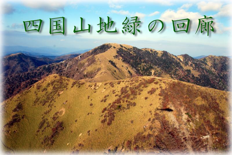 kairoutop