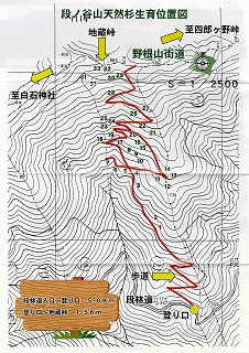 段ノ谷山天然杉位置図