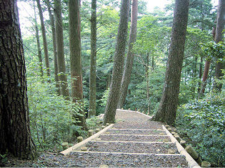 奥大道自然観察教育林・サンショウウオの森・日本最古の複層林