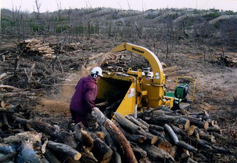 写真：マツクイムシ被害木処理の様子