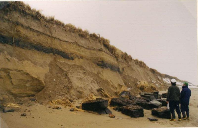 写真：浸食された砂丘