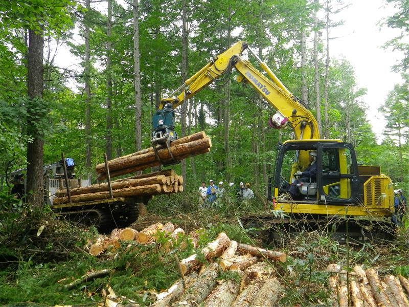 高性能林業機械の組み合わせ