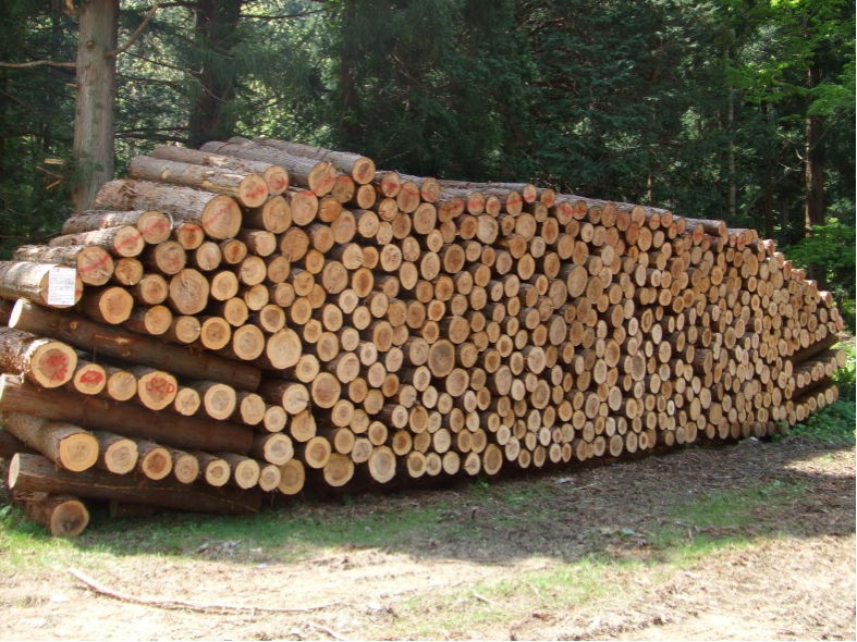 有効な資源としての木材の供給