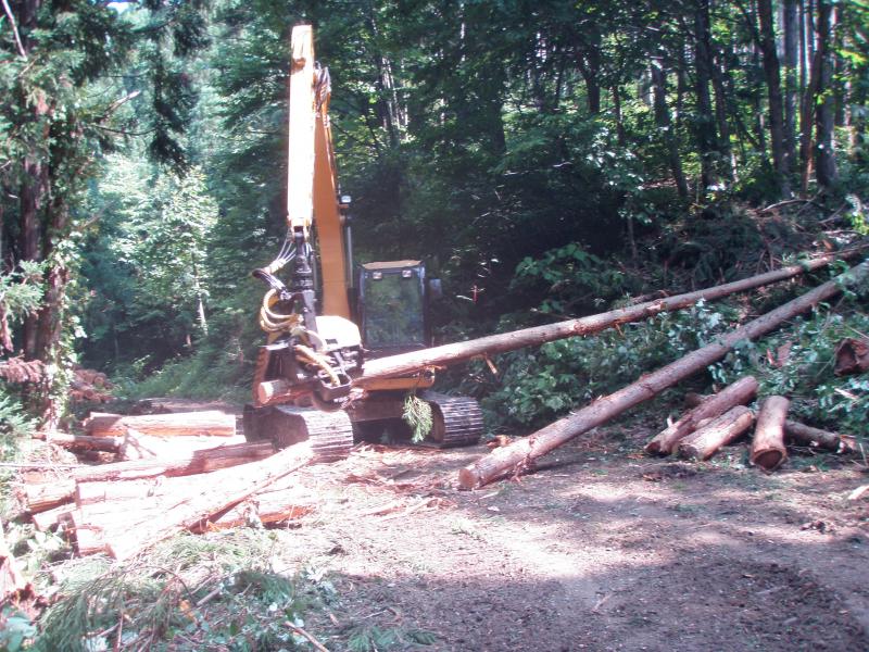 八敷代国有林での木材生産