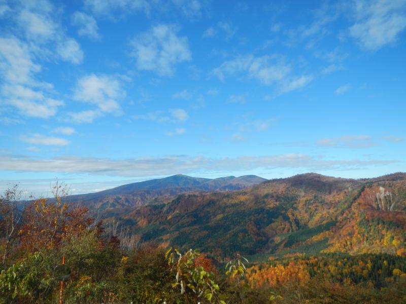 秋晴れの森吉山