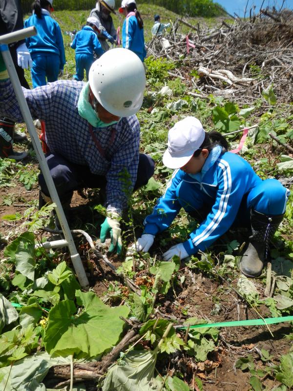 植樹する小学生(山形森林事務所)