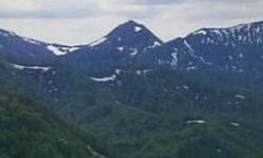 小出川源流部と東山