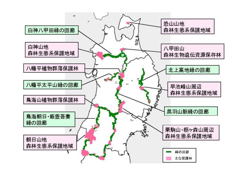 回廊イメージ