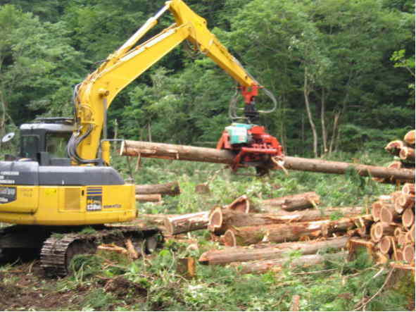 高性能林業機械の活用
