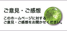 ご意見・ご感想