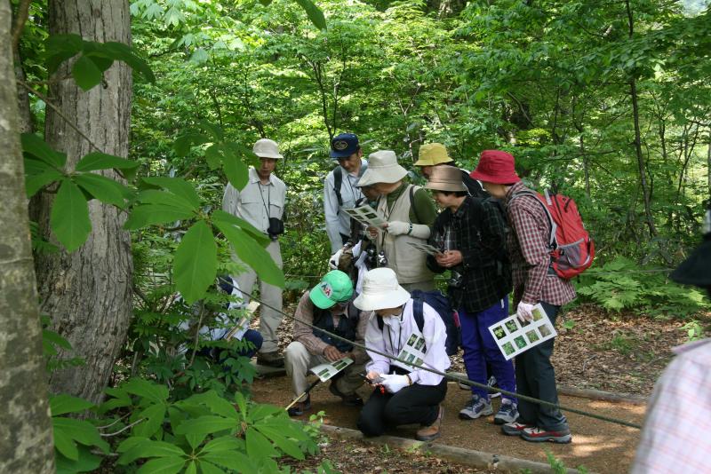 自然観察会の様子