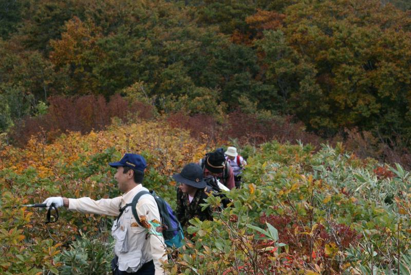 山の説明をする職員