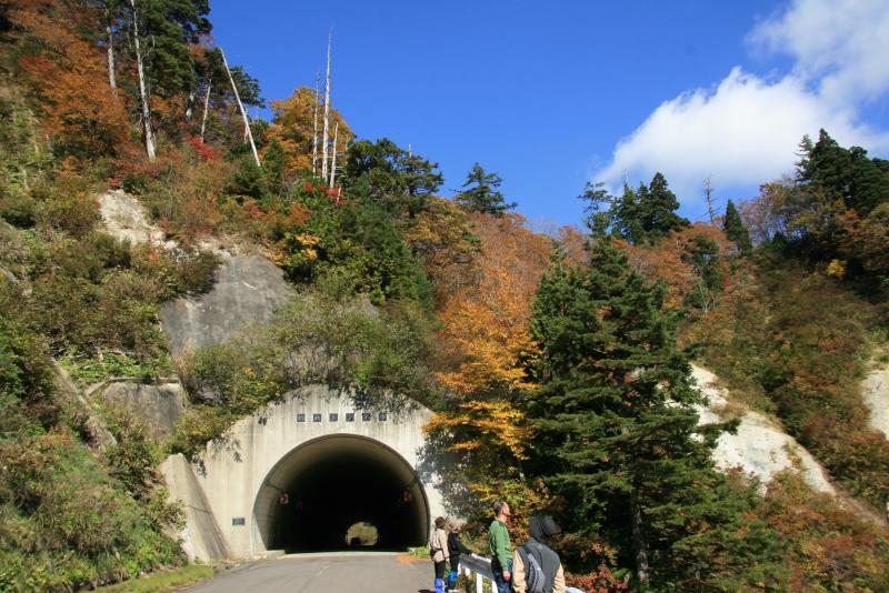 釣瓶落峠で紅葉を楽しむ参加者の皆さん