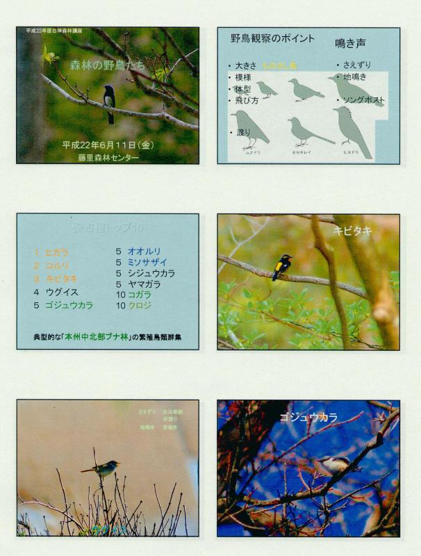 講座の資料より