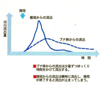 流出量