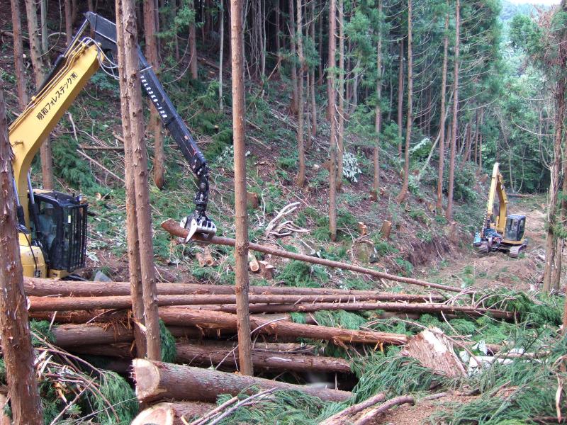 高性能林業機械による作業