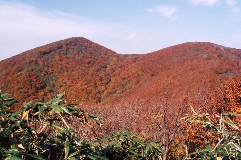 大倉岳の紅葉