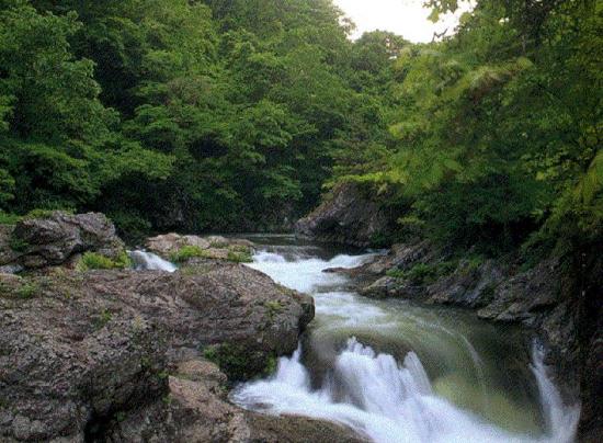 写真：久慈渓流