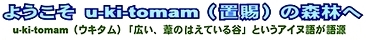 yokoso