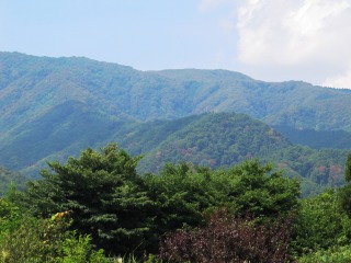 長井市葉山森林公園付近