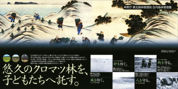 海岸林・今昔