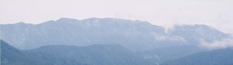 白神山地