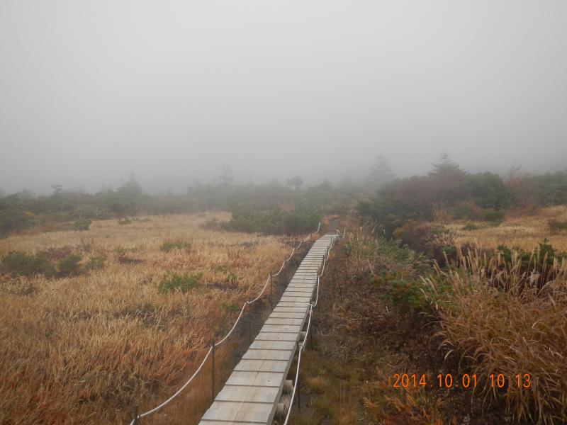 霧で幻想的な御田ノ神湿原