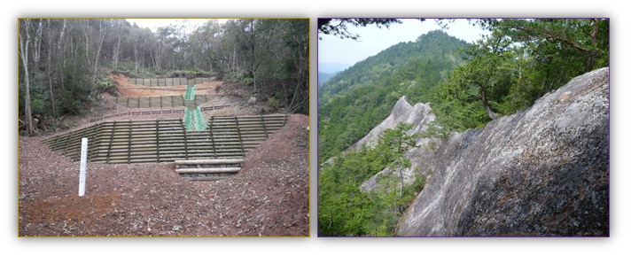 治山工事と大沢土流